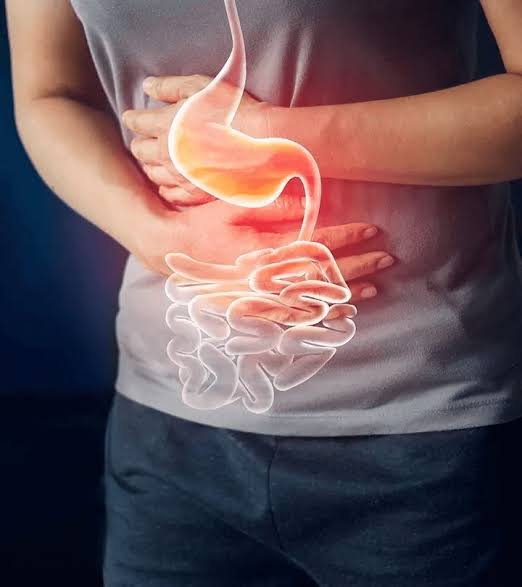 Digestive Wellness
